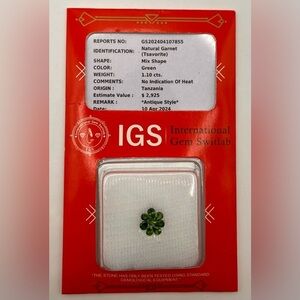 Rare Natural Green Tsavorite Garnet 1.10 cts Loose Gemstones Luxury Gift Garnet